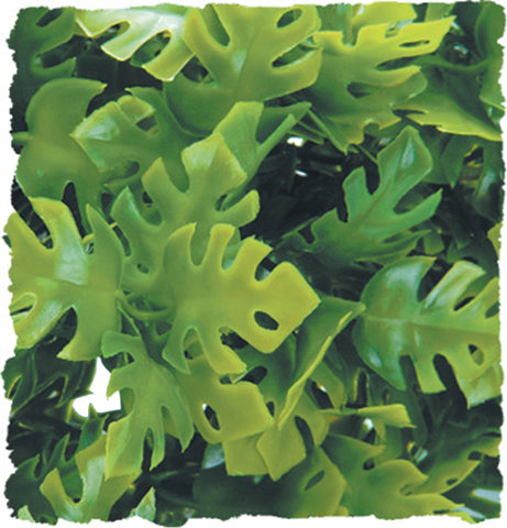 Zoo Med Laboratories Inc - Natural Bush Amazonian Phyllo Plant