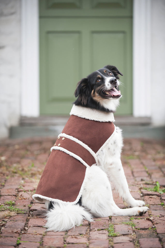 Ethical Fashion-seasonal - Shearling Dog Coat