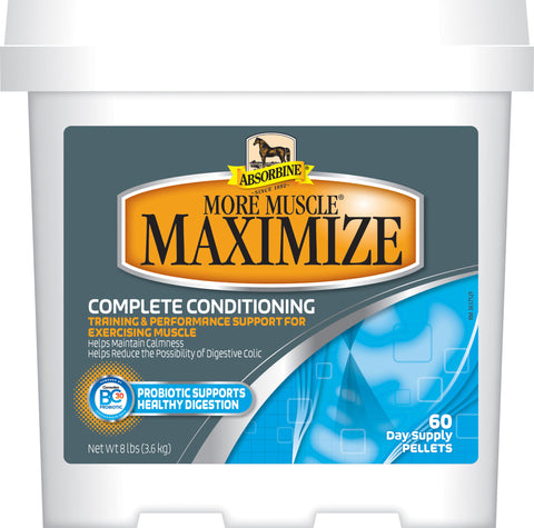 W F Young Inc - Absorbine More Muscle Maximize Conditioner