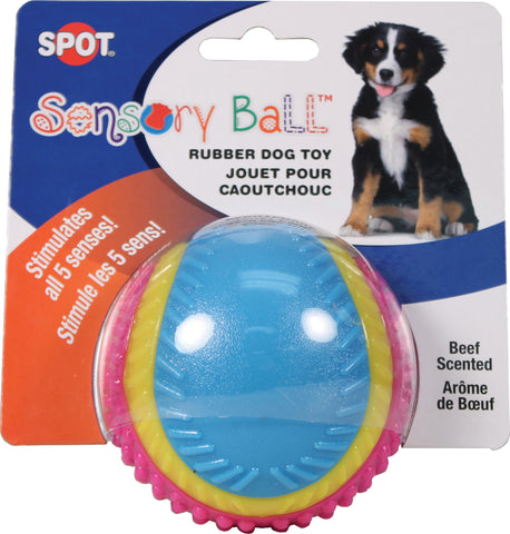 Ethical Dog - Sensory Ball Rubber Dog Toy