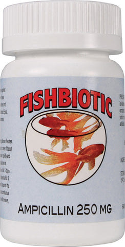 Durvet - Pet            D - Fishbiotic Ampicillin Tablets