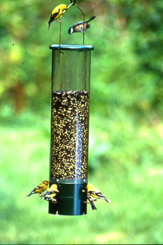 Audubon/woodlink - Bouncer Squirrel Proof Bird Feeder