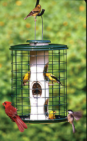 Audubon/woodlink - Avian Series Mixed Seed Cage Bird Feeder