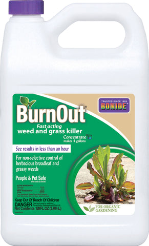 Bonide Products Inc     P - Burnout Weed And Grass Killer Concentrate