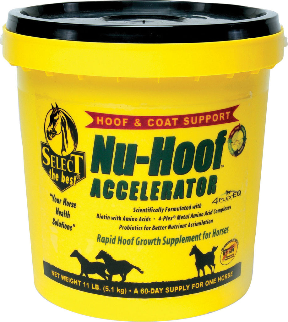 Richdel Inc - Nu-hoof Accelerator Hoof & Coat Support For Horses