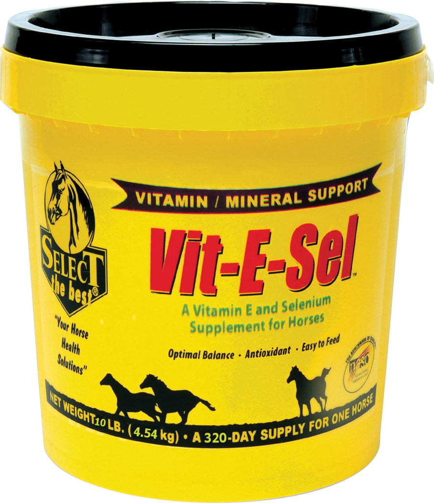 Richdel Inc - Vit-e-sel Vitamin & Mineral Supplement For Horses