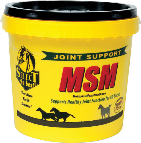 Richdel Inc - Msm Powder Joint Support For Horses