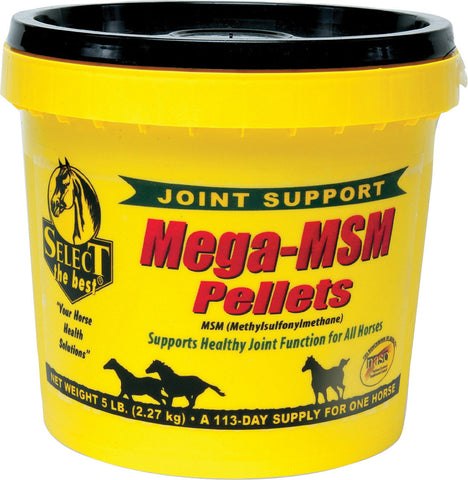 Richdel Inc - Mega-msm Pellets Joint Support For Horses