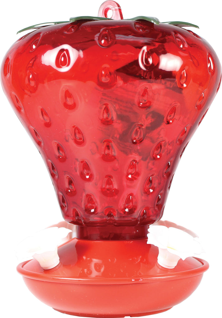 Audubon/woodlink - Strawberry Hummingbird Feeder